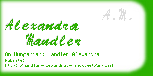 alexandra mandler business card